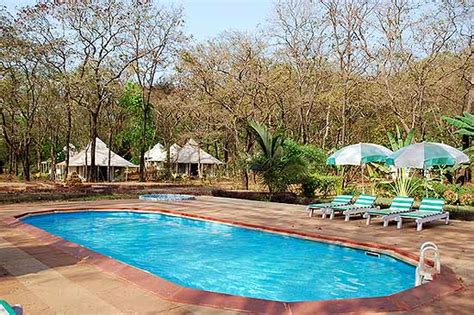 11 Best Hotels in Mollem, Goa .